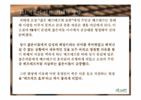 [문학]`젊은 베르테르의 슬픔` 분석-9