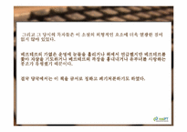 [문학]`젊은 베르테르의 슬픔` 분석-10