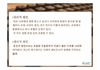 [문학]`젊은 베르테르의 슬픔` 분석-14