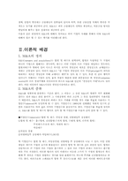 [인수합병]아메리텍과 텔레덴마크사의 M&A 분석-3