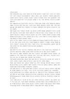 [인수합병]아메리텍과 텔레덴마크사의 M&A 분석-11