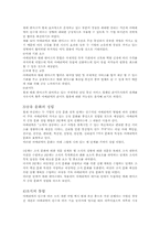 [인수합병]아메리텍과 텔레덴마크사의 M&A 분석-15