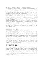 [인수합병]아메리텍과 텔레덴마크사의 M&A 분석-16