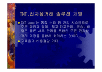 [국제물류] TNT 향후발전전략-13