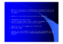 [국제물류운송기업론] TNT분석-10