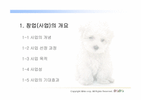 [인터넷비즈니스사업계획서] 애완동물 시터 사업계획서-3
