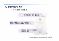 [인터넷비즈니스사업계획서] 애완동물 시터 사업계획서-8
