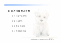 [인터넷비즈니스사업계획서] 애완동물 시터 사업계획서-13