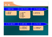 인터넷포탈산업분석-2