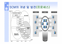 SCM동향과 전망 레포트-10