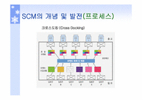 SCM동향과 전망 레포트-15