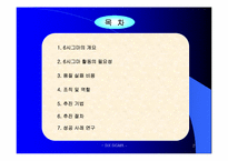 SixSigma 6시그마 도입과 활용-2