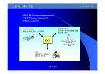 SixSigma 6시그마 도입과 활용-9