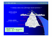 SixSigma 6시그마 도입과 활용-19