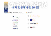 [국제물류 운송기업론] 루프트한자(Lufthansa)-10