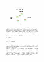 [외식산업실무론] 버거킹조사-13