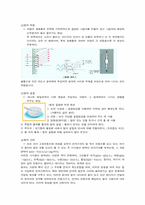 빛에 대해서 레포트-3