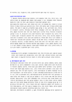 빛에 대해서 레포트-8