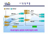 [마케팅] 도브 `Dove` 마케팅전략-8