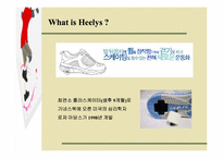 [마케팅원론] 힐리스마케팅-2