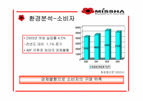 [마케팅] 화장품 `미샤` 마케팅전략-8