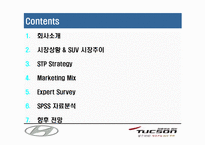 [마케팅조사] 현대자동차`TUCSON`투싼 마케팅조사-2