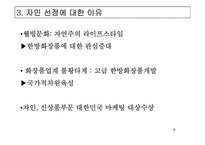 [마케팅] 코리아나 화장품 `자인` 마케팅전략-8