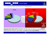 [마케팅조사] `삼양라면` 라면업계 1위 탈환을 위한 노력과 방안-20