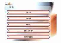 [인터넷마케팅분석] 싸이월드 `cyworld` 마케팅과 향후 마케팅-4