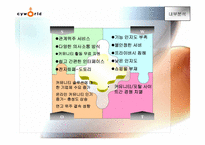 [인터넷마케팅분석] 싸이월드 `cyworld` 마케팅과 향후 마케팅-9