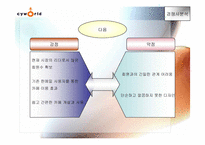 [인터넷마케팅분석] 싸이월드 `cyworld` 마케팅과 향후 마케팅-11
