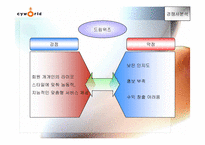 [인터넷마케팅분석] 싸이월드 `cyworld` 마케팅과 향후 마케팅-12