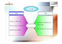 [인터넷마케팅분석] 싸이월드 `cyworld` 마케팅과 향후 마케팅-13