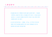 [마케팅분석] 엘라스틴 마케팅사례분석-7