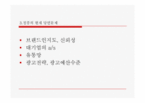 공기청정기 `청풍무구` 마케팅전략-5