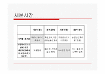 공기청정기 `청풍무구` 마케팅전략-13