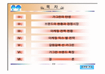 [마케팅관리] 가그린의 시장전략과 발전방향-2
