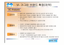 [마케팅관리] 가그린의 시장전략과 발전방향-17