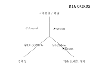 [마케팅] 기아자동차 오피러스 마케팅전략-11