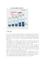 [마케팅](주)농심의 마케팅전략- 스낵과 라면 중심으로-10