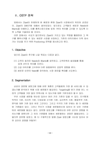 [마케팅] 삼성 `Zipel` 지펠 냉장고 마케팅전략-10