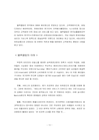 [사업계획서]블루클럽 사업계획서-13