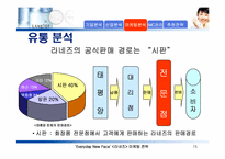 [마케팅] 라네즈 마케팅전략-15