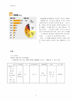 [마케팅] 태평양화장품 `라네즈`의 마케팅전략-11