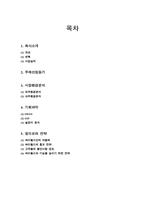 [마케팅조사] 싸이월드 마케팅전략-2