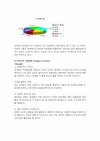 [마케팅조사] 싸이월드 마케팅전략-13