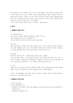 [마케팅]농심햅쌀밥의 마케팅전략-4