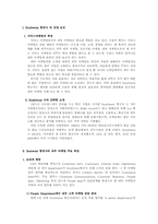 [호텔마케팅] `Southwest` 사우스웨스트 종업원 만족도 증대를 위한 내부마케팅-2
