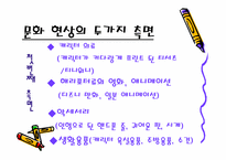 키덜트문화 레포트-12