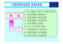 [국제무역] 유럽통합(EU)의 사례-2